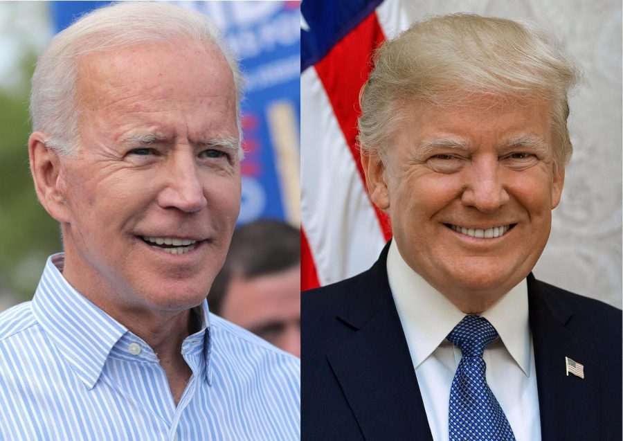 Joe Biden: Gage Skidmore from Peoria, AZ, United States of America (source: Joe Biden); User:TDKR Chicago 101 (clipping)Donald Trump: Shealah Craighead (source: White House)Сombination: krassotkin, CC BY-SA 2.0 , via Wikimedia Commons