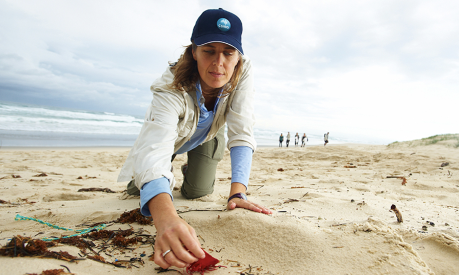 One of the CSIRO team members cleans up trash on an Australian beach. Photo by CSIRO.